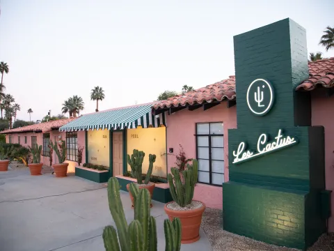 Les Cactus